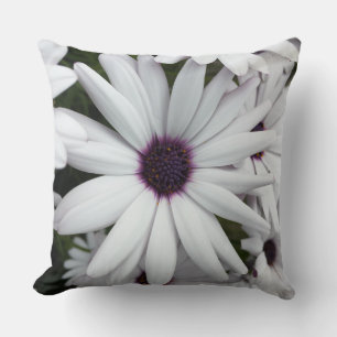 White Daisy Closeup Cushion
