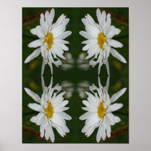 White Daisy Flower Abstract Poster
