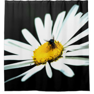 White Daisy Flower And A Fly Shower Curtain
