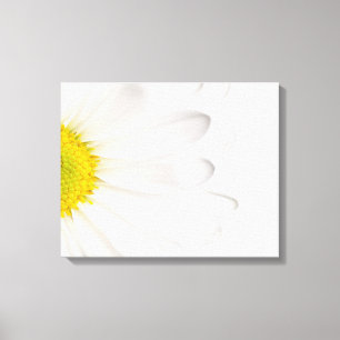 White Daisy Flower Background Customised Daisies Canvas Print