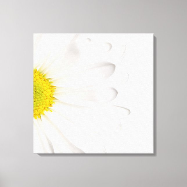 White Daisy Flower Background Customised Daisies Canvas Print (Front)
