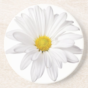 White Daisy Flower Background Customised Daisies Coaster
