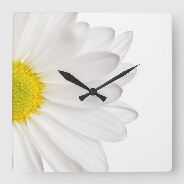White Daisy Flower Background Customised Daisies Square Wall Clock (Front)