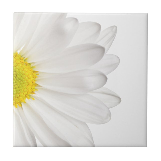 White Daisy Flower Background Customised Daisies Tile (Front)