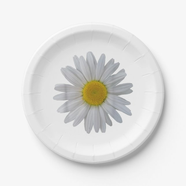 White daisy flower, blooming daisy, blooms, flower paper plate (Front)