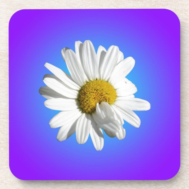 White Daisy Flower Floral Purple Blue Gradient Coaster (Front)
