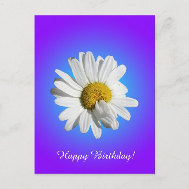 White Daisy Flower Floral Purple Blue Gradient Postcard (Front)