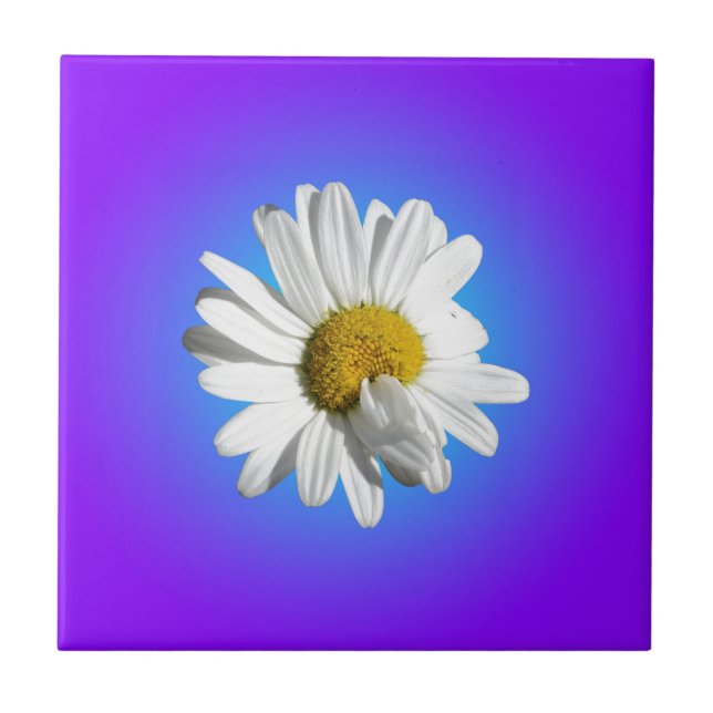 White Daisy Flower Floral Purple Blue Gradient Tile (Front)