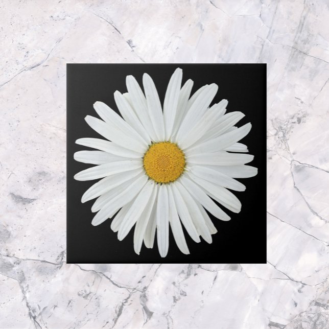 White Daisy Flower on Black Floral Tile (In Situ)
