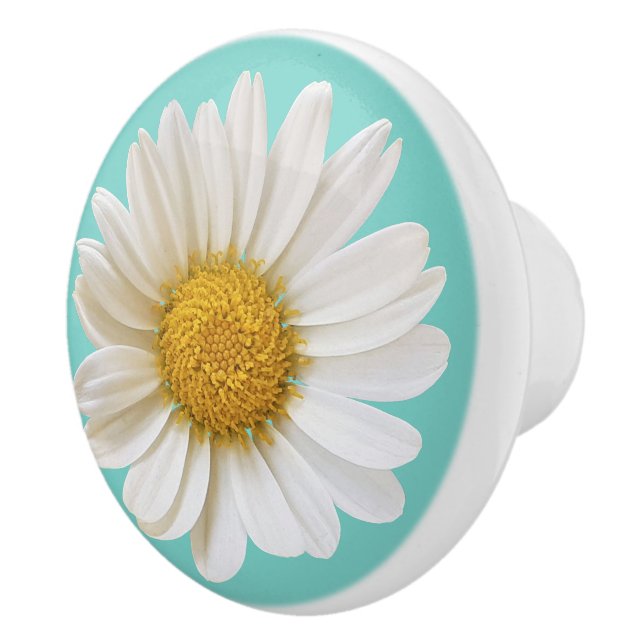 White Daisy Flower on Light Teal Background Ceramic Knob (Right)