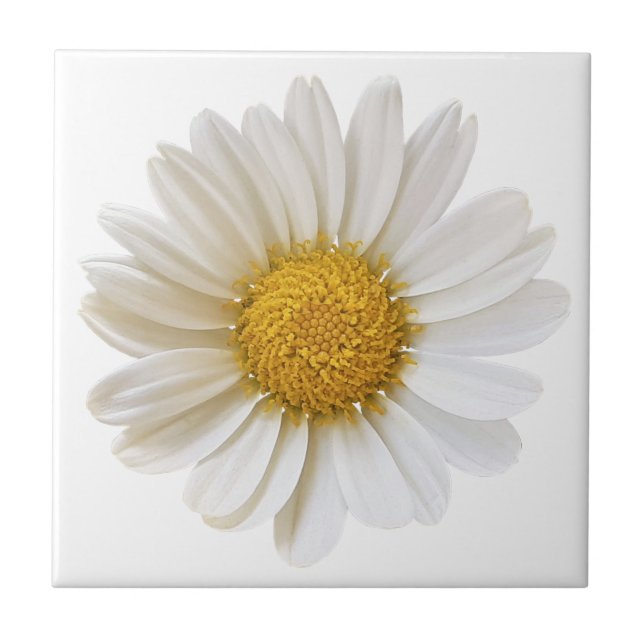 White Daisy Flower on White Background Tile (Front)
