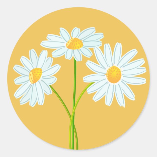 White Daisy Flower Orange Note Card Classic Round Sticker (Front)