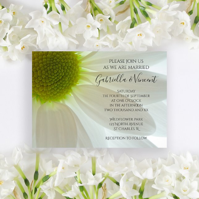 White Daisy Flower Petals Wedding Invitation (Invite guests to your summer marriage ceremony with the pretty White Daisy Petals Wedding Invitation)