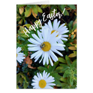 White Daisy Flower with a Bee Easter Card