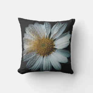 White Daisy Flower With Drops of Water Cushion