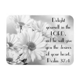 White daisy flowers bible verse Psalm 37:4 Magnet