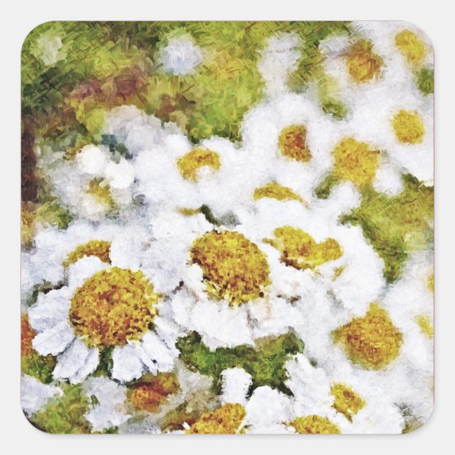 White Daisy Flowers - Painting Art Sticker (Front)