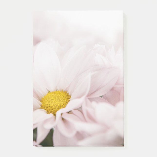White Daisy Flowers Pink Floral Daisies Flower Post-it Notes (Front)