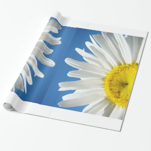 White Daisy Flowers Wrapping Paper Blue Sky