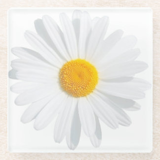 white daisy glass coaster
