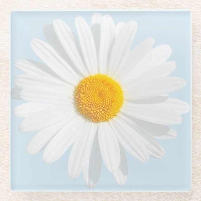 white daisy glass coaster (Front)