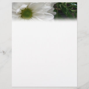 White Daisy Letterhead