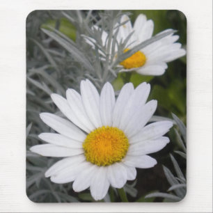 White Daisy Mouse pad