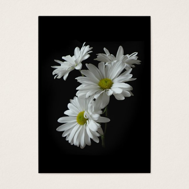 White Daisy Mums ATC Photo Card (Front)