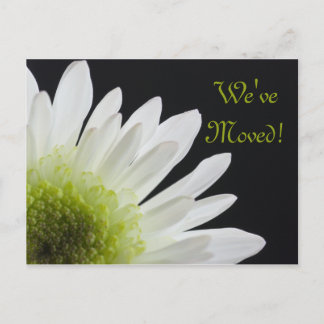 White Daisy on Black Change of Address Announcement Postcard