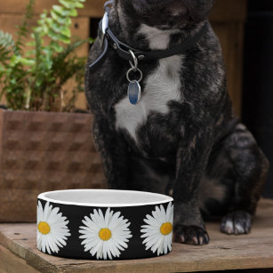 White Daisy on Black Floral Pattern Pet Bowl