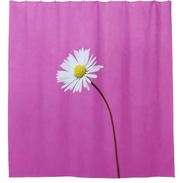 WHITE DAISY ON PINK BACKGROUND SHOWER CURTAIN (Front)