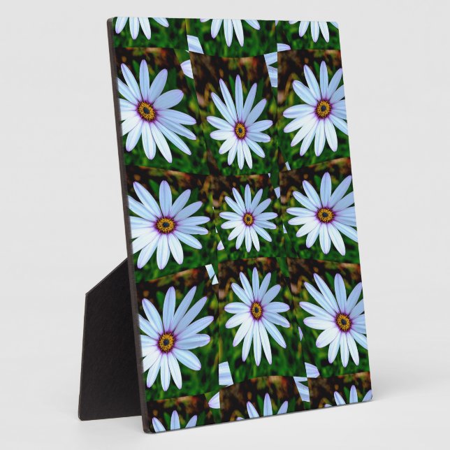 White Daisy Pattern Plaque (Side)