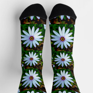 White Daisy Pattern Socks