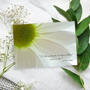 White Daisy Petals Thank You for Your Sympathy Card