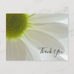 White Daisy Petals Thank You Note Postcard