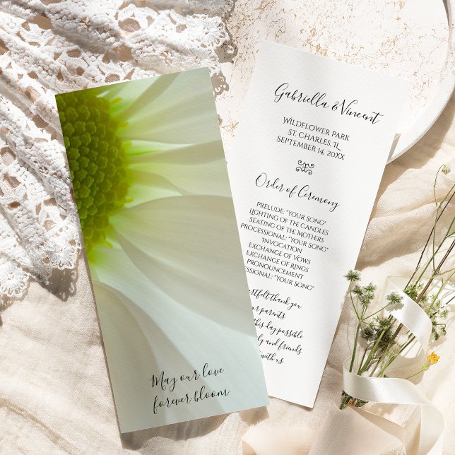 White Daisy Petals Wedding Program Programme (Creator Uploaded)