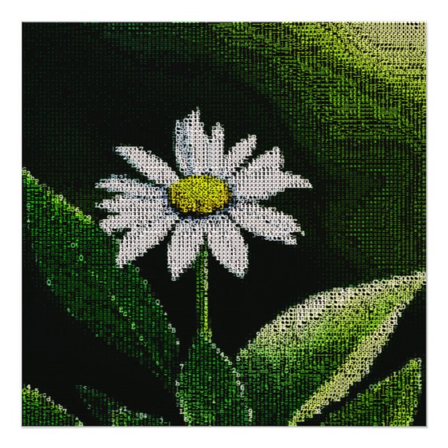 WHITE DAISY PHOTO PRINT (Front)