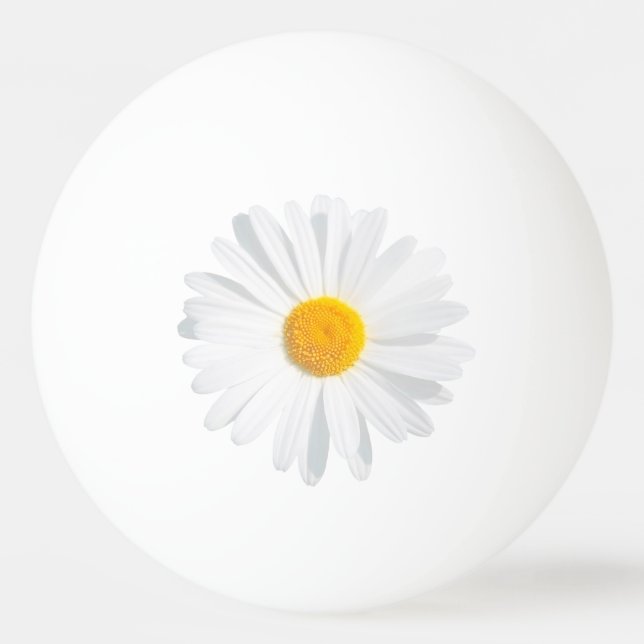 white daisy ping pong ball (Front)