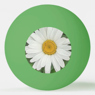 White Daisy Ping Pong Ball