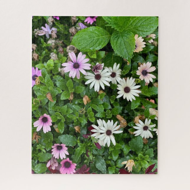White Daisy, Seoul Jigsaw Puzzle (Vertical)