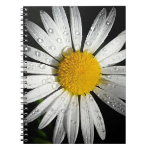 White Daisy Spiral Notebook