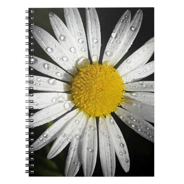 White Daisy Spiral Notebook (Front)