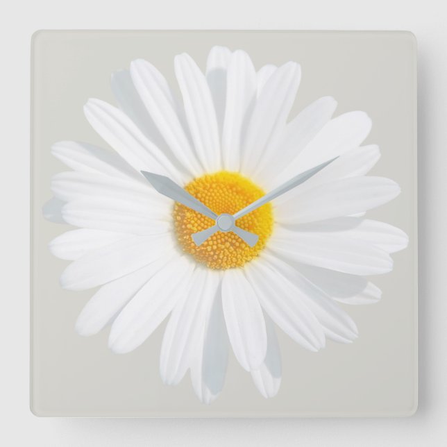 white daisy square wall clock (Front)