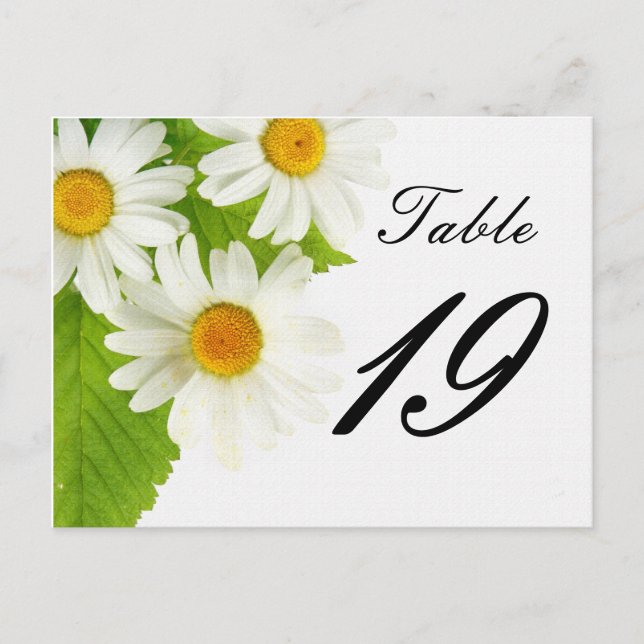 white daisy table number postcard (Front)
