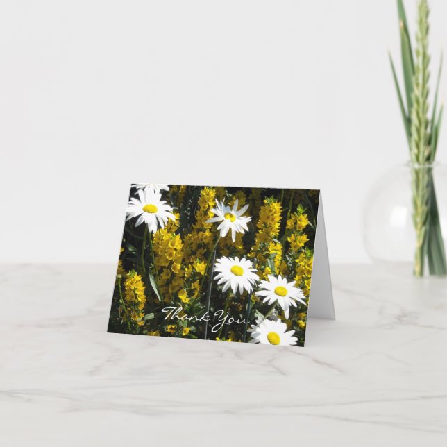 White Daisy Thank You Card (Front)
