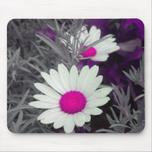 White Daisy (w Pink) mousepad