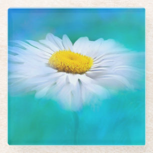 White Daisy with Blue Background Glass Coaster