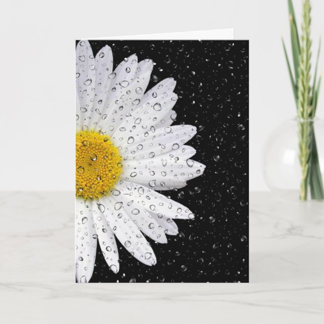 white daisy with raindrops thinking of you card (Front)