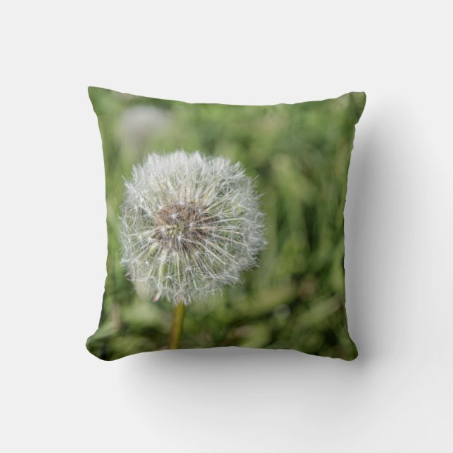White dandelion flower on green grass cushion (Front)