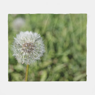White dandelion flower on green grass fleece blanket